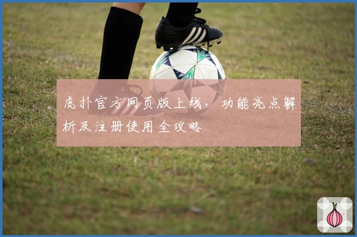 虎扑官方网页版上线，功能亮点解析及注册使用全攻略