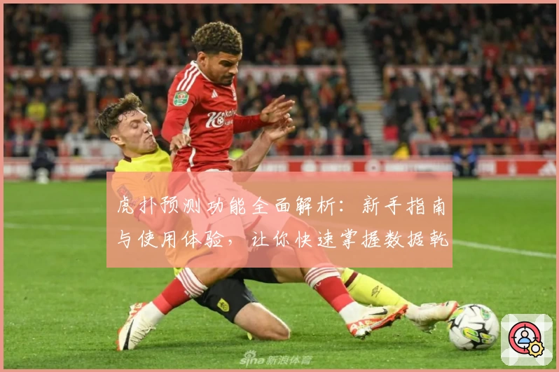 虎扑预测功能全面解析：新手指南与使用体验，让你快速掌握数据乾坤